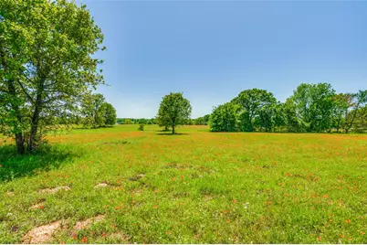Lot 44 Paradise Cov, Streetman, TX 75859 - Photo 8