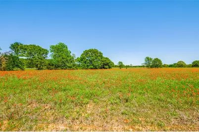 Lot 44 Paradise Cov, Streetman, TX 75859 - Photo 4