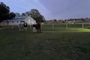 9470 S Hwy 377, Pilot Point, TX 76258 - Photo 22