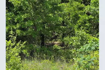 Lot 10 SE Cr 3258, Kerens, TX 75144 - Photo 20