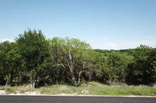 163 Hanna Oak Ct, Bridgeport, TX 76426 - Photo 1