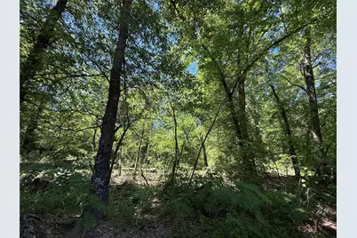 72 Ac N Farm Road 900 N, Saltillo, TX 75478 - Photo 8