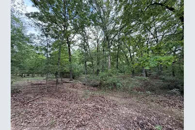 72 Ac N Farm Road 900 N, Saltillo, TX 75478 - Photo 38