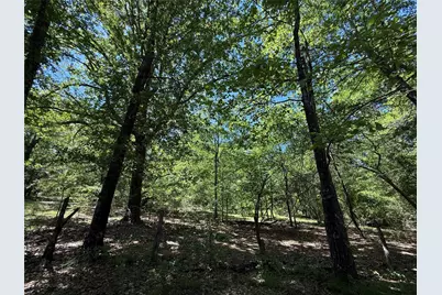 72 Ac N Farm Road 900 N, Saltillo, TX 75478 - Photo 34