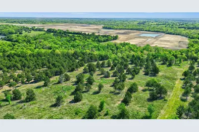 2554 Bennett Road, Howe, TX 75459 - Photo 8