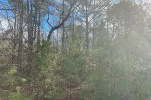 0000 Cr 2622, Marietta, TX 75566 - Photo 4