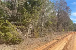 0000 Cr 2622, Marietta, TX 75566 - Photo 6