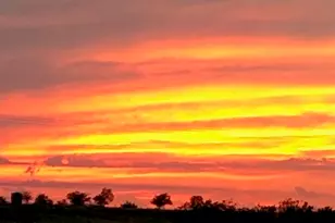 2267 Co Rd 4010, Decatur, TX 76234 - Photo 6