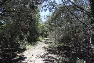 1485 County Rd 224, Valley Mills, TX 76689 - Photo 30