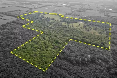 690 County Road 15560, Paris, TX 75462 - Photo 1