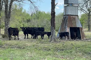 690 County Rd 15560, Paris, TX 75462 - Photo 36