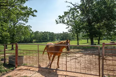 1226 Vz County Road 1211, Canton, TX 75103 - Photo 40