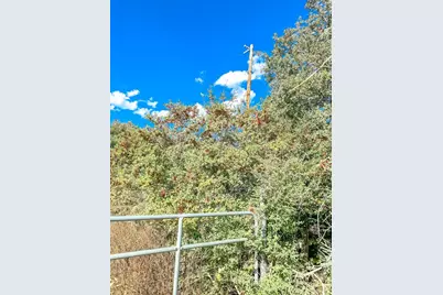 0000 County Road 237, Oakwood, TX 75855 - Photo 6