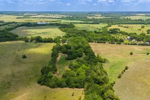 479 County Rd 27450, Honey Grove, TX 75477 - Photo 30