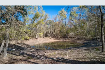 2624 County Road 2975, Windom, TX 75492 - Photo 10