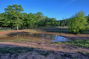 4950 US Hwy 82 W, Nocona, TX 76255 - Photo 6