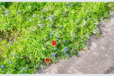 711 Pearl Cove, Oak Point, TX 75068 - Photo 34