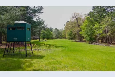 00 Fm 315, LaRue, TX 75770 - Photo 2