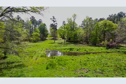 00 Fm 315, LaRue, TX 75770 - Photo 14