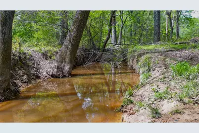 00 Fm 315, LaRue, TX 75770 - Photo 10