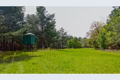 00 Fm 315, LaRue, TX 75770 - Photo 8