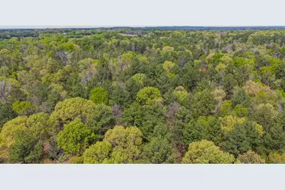 00 Fm 315, LaRue, TX 75770 - Photo 16