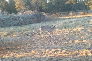 570 Pr 42103, Evant, TX 76525 - Photo 24
