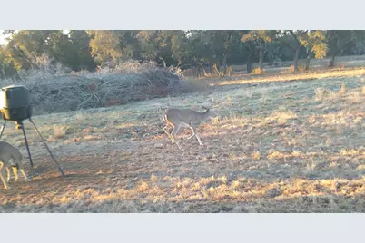 570 Pr 42103, Evant, TX 76525 - Photo 18
