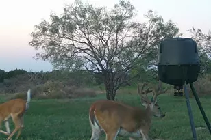 570 Pr 42103, Evant, TX 76525 - Photo 16