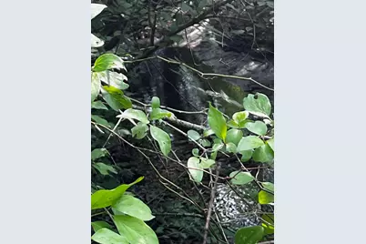 2200 Bear Creek Road, Cedar Hill, TX 75104 - Photo 6