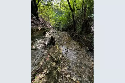 2200 Bear Creek Road, Cedar Hill, TX 75104 - Photo 12