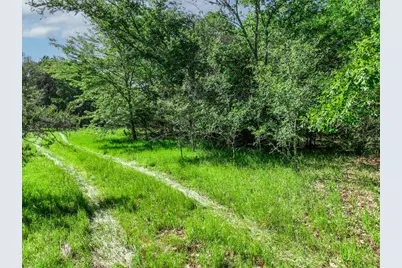 Tbd County Road 4700, Sulphur Springs, TX 75482 - Photo 6