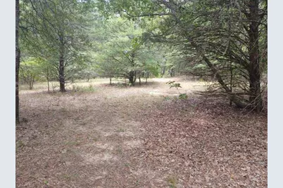 Tbd County Road 4700, Sulphur Springs, TX 75482 - Photo 26