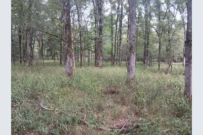 Tbd County Road 4700, Sulphur Springs, TX 75482 - Photo 22