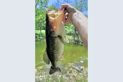 001 Fm 85, Ennis, TX 75119 - Photo 32