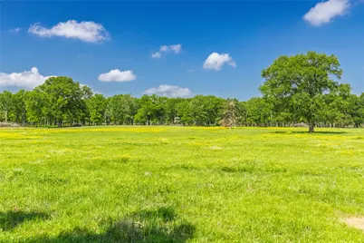 300 County Road 3636 Road, Dike, TX 75437 - Photo 4