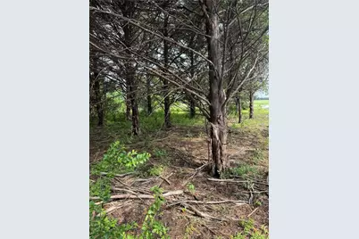 Tbd 2.824 Acres Fm 901, Gordonville, TX 76245 - Photo 6