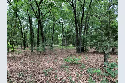 Tbd Fm 2494, Athens, TX 75751 - Photo 14