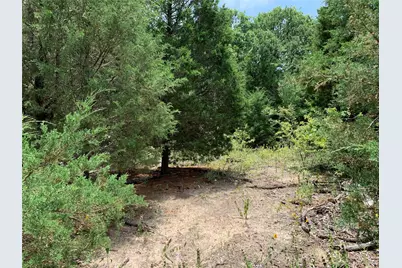 Tbd Fm 2494, Athens, TX 75751 - Photo 16