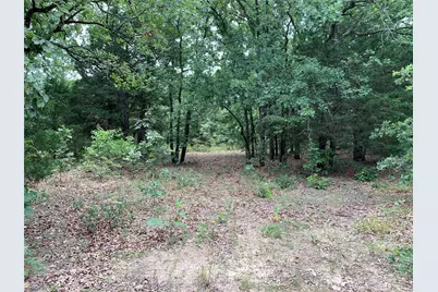 Tbd Fm 2494, Athens, TX 75751 - Photo 12