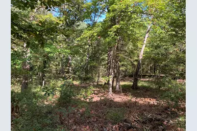 Tbd Hills Drive, Athens, TX 75751 - Photo 14