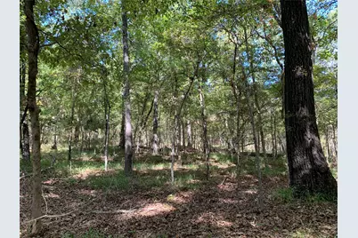 Tbd Hills Drive, Athens, TX 75751 - Photo 16