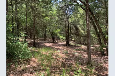 Tbd Hills Drive, Athens, TX 75751 - Photo 16