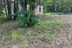 23318 County Rd 459, Mineola, TX 75773 - Photo 10