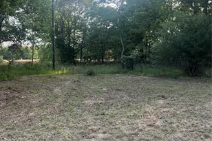 23318 County Rd 459, Mineola, TX 75773 - Photo 12