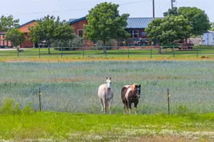 8608 Spinks Rd, Abilene, TX 79603 - Photo 40