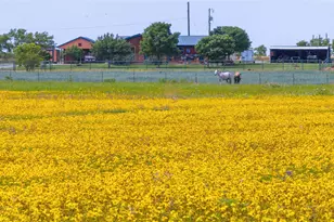8608 Spinks Rd, Abilene, TX 79603 - Photo 38