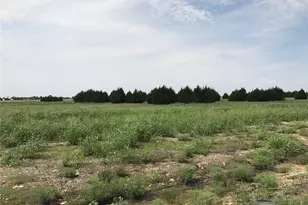 1310 Carroll Moran Trl, Midlothian, TX 76065 - Photo 1