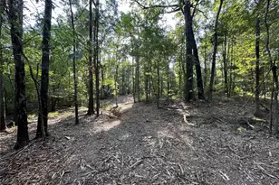 10 13 Acres Fm 852, Gilmer, TX 75644 - Photo 1