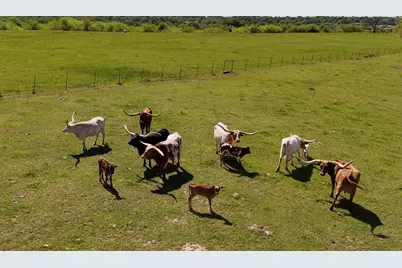 13220 County Road 2925, Mabank, TX 75156 - Photo 40